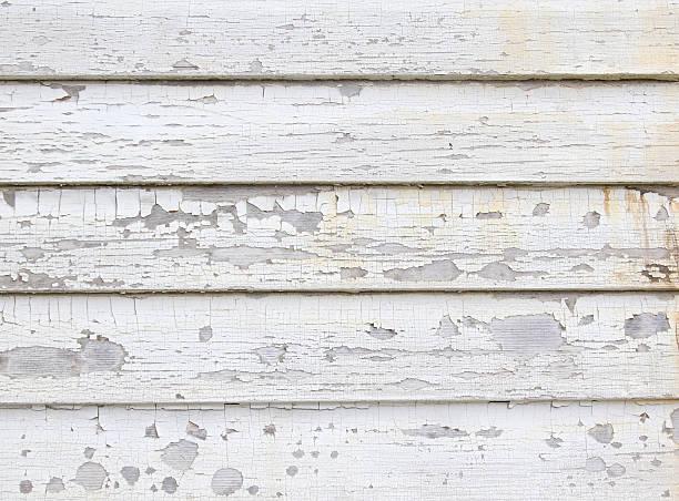 Best Siding Painting and Refinishing  in Sunbury, PA